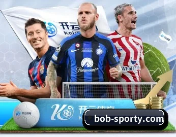 bob-sporty.com的故事(BOBSPORTS)